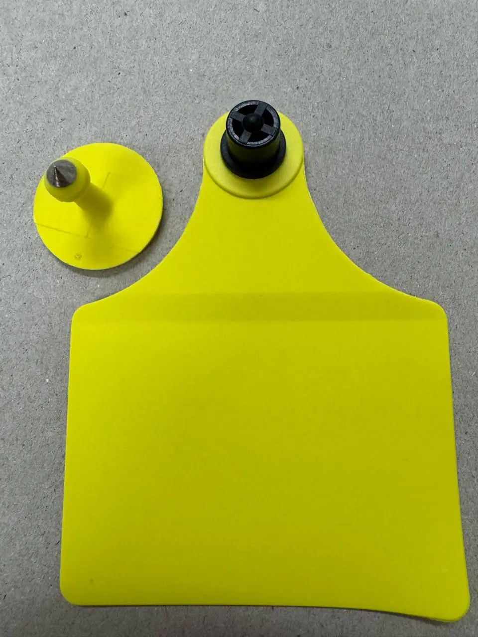 LSPCLEA0508202601